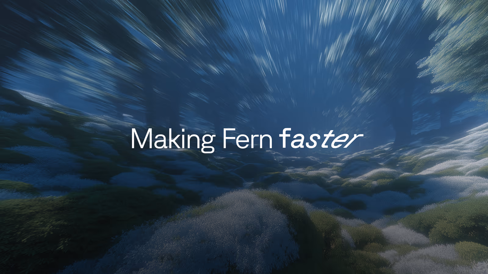 The words 'Making Fern faster' over a motion-blurred night landscape of grassy hills under a starlit sky.